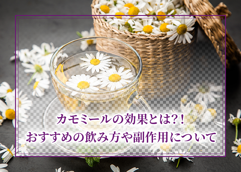 カモミールの効果とは?!おすすめの飲み方や副作用について